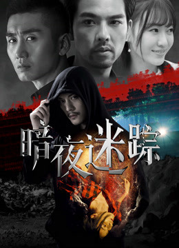 暗夜迷踪(全集)